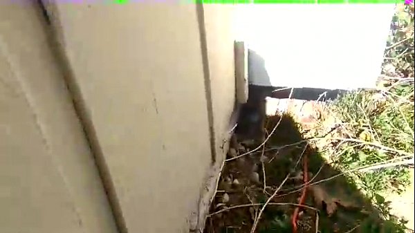 Caught Redhanded Family Double Handjob - Free MILF Video